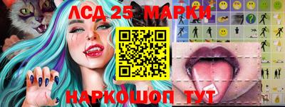 МДПВ Новодвинск