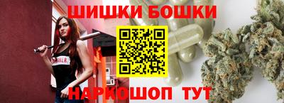МДПВ Новодвинск