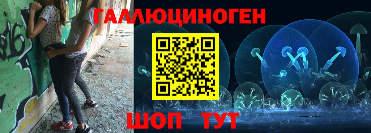 Холмск  Псилоцибиновые грибы GOLDEN TEACHER  сколько стоит  Вход с VPN  Псилоцибиновые грибы Psilocybine cubensis 